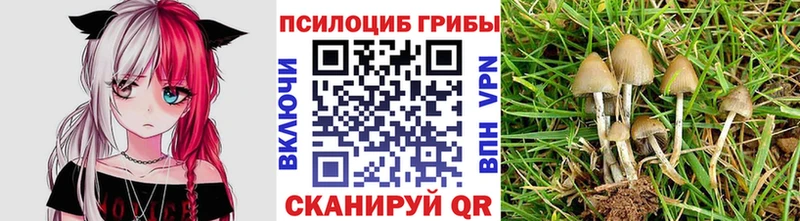 даркнет Telegram  Горно-Алтайск  Псилоцибиновые грибы мицелий 